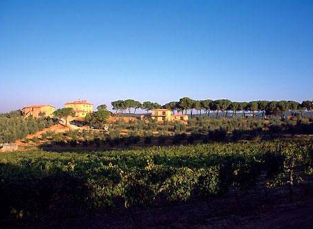 Villa Il Tesoro Massa Marittima Eksteriør bilde